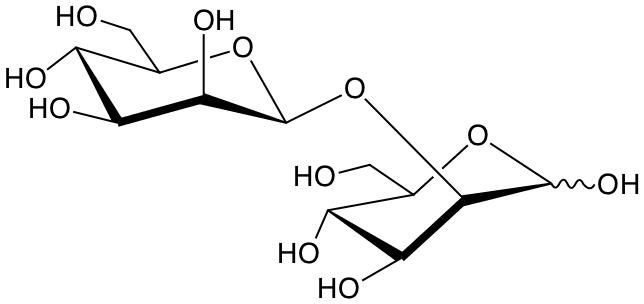 structure of Man(b1-2)Man structure of Man(b1-2)Man