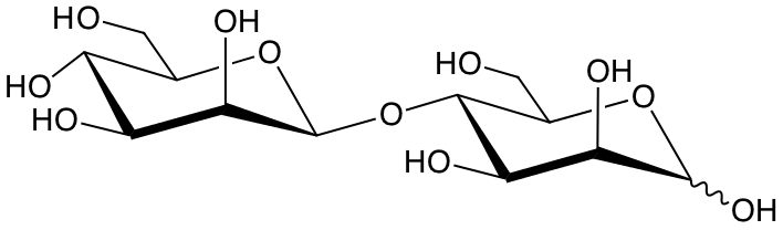 structure of Man(b1-4)Man structure of Man(b1-4)Man