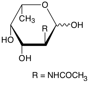 structure of N-acetyl-L-fucosamine structure of N-acetyl-L-fucosamine
