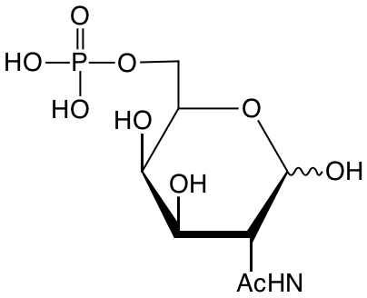 structure of N-acetyl-D-galactosamine-6-phosphate structure of N-acetyl-D-galactosamine-6-phosphate