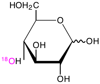 structure of D-[4-18O]glucose