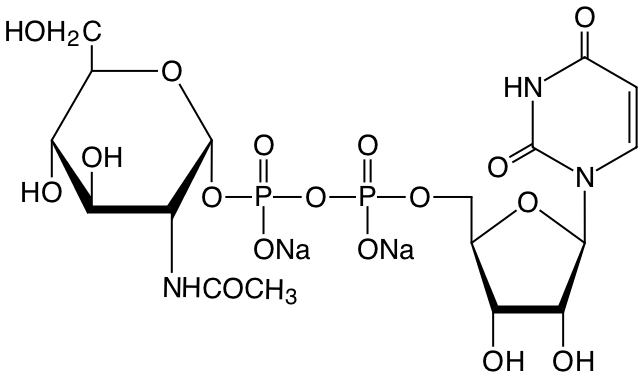 structure of uridine diphosphate-alpha-N-acetyl-D-glucosamine, disodium salt structure of uridine diphosphate-alpha-N-acetyl-D-glucosamine, disodium salt