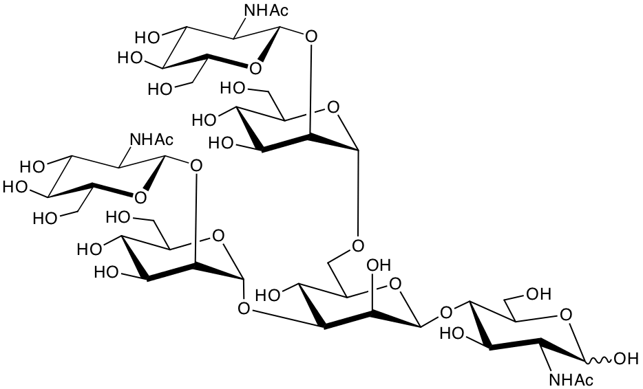 structure of GlcNAcbeta1,2Manalpha1,3(GlcNAcbeta1,2Manalpha1,6)Manbeta1,4GlcNAc structure of GlcNAcbeta1,2Manalpha1,3(GlcNAcbeta1,2Manalpha1,6)Manbeta1,4GlcNAc
