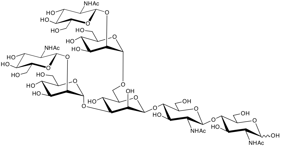 structure of GlcNAcbeta1,2Manalpha1,3(GlcNAcbeta1,2Manalpha1,6)Manbeta1,4GlcNAcbeta1,4GlcNAc structure of GlcNAcbeta1,2Manalpha1,3(GlcNAcbeta1,2Manalpha1,6)Manbeta1,4GlcNAcbeta1,4GlcNAc