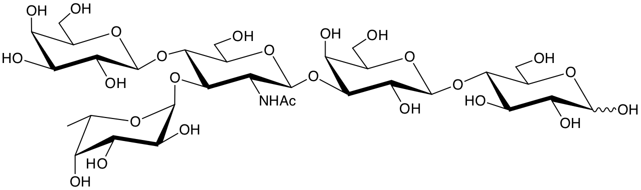 structure of 	lacto-N-fucopentaose III structure of lacto-N-fucopentaose III