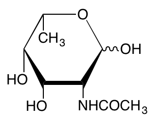 structure of 2-acetamido-2,6-dideoxy-L-talose structure of 2-acetamido-2,6-dideoxy-L-talose