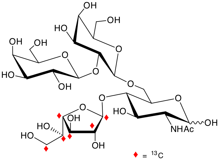 structure of Galp-b2-Galp-b6-(U-13C6-Galf-b4)-GlcNAc structure of Galp-b2-Galp-b6-(U-13C6-Galf-b4)-GlcNAc