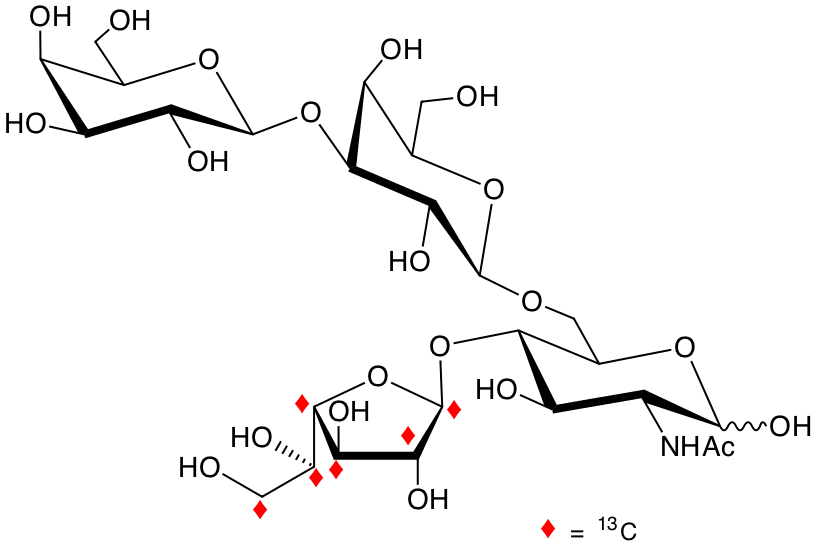 structure of Galp-b3-Galp-b6-(U-13C6-Galf-b4)-GlcNAc structure of Galp-b3-Galp-b6-(U-13C6-Galf-b4)-GlcNAc